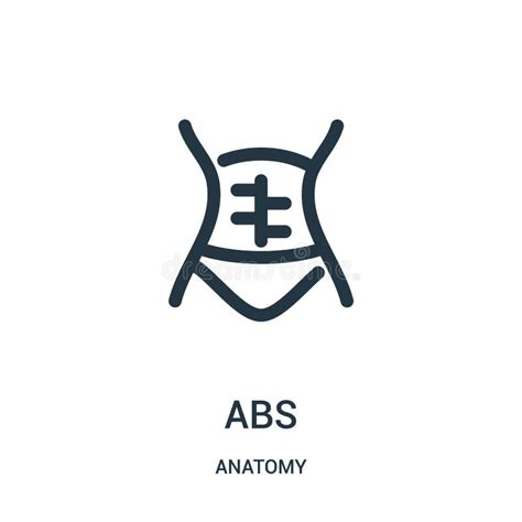 Abdominal Icon Vector From Gym Collection Thin Line Abdominal Outline