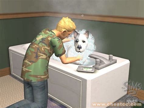 The Sims 2 Pets Review Preview For The Gamecube Gc