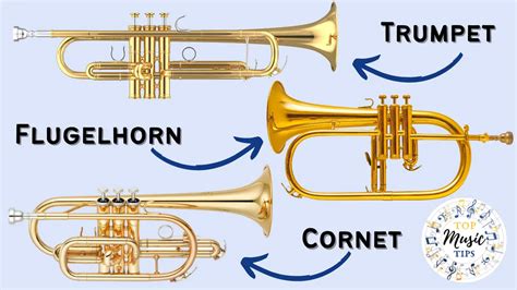 Trumpet Vs Cornet Vs Flugelhorn A Complete Comparison Top Music Tips