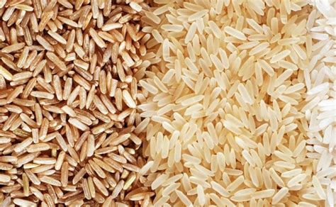 Namun ternyata ada kunyit hitam yang kabarnya cukup langka dan harga jual bibitnya saja per kg bisa cukup mahal. √ Harga Beras Organik per kg Terbaru Mei 2021 ...
