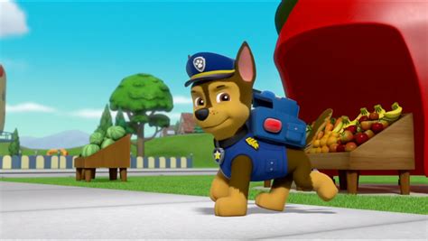Pups Save A Tower Of Pizzagallery Paw Patrol Wiki Fandom