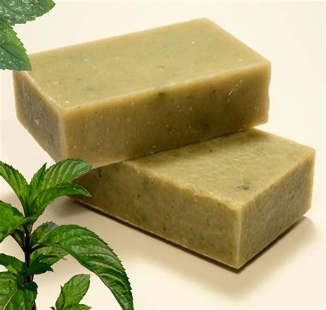 Lakeshore Castle Peppermint Healing Oil Organic Bar Soap 4 Oz