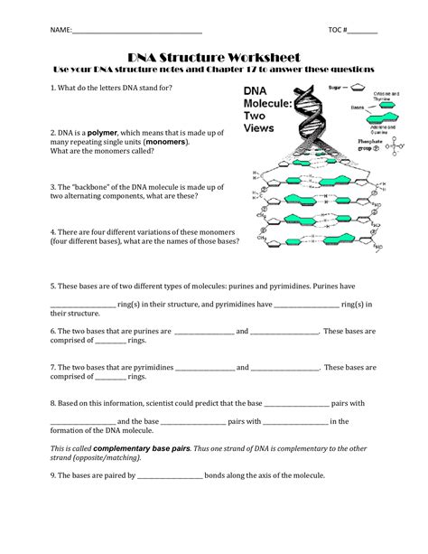 Replication paintings search result at paintingvalley com. DIAGRAM Introduction To Genetics Vocabulary Review Labeling Diagrams FULL Version HD Quality ...