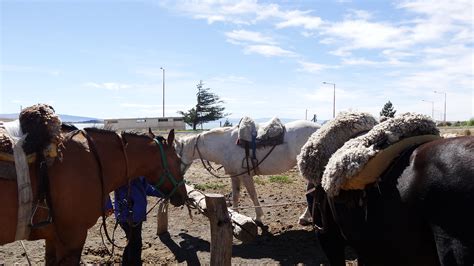 Patagonia Feb 2013 Flickr