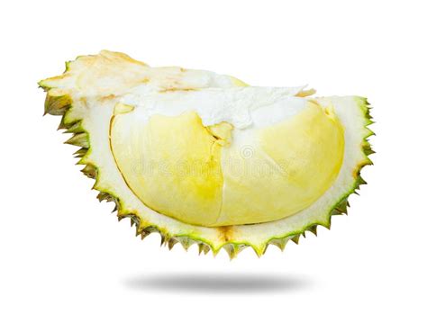 372 Durian Shell Isolated Stock Photos Free And Royalty Free Stock