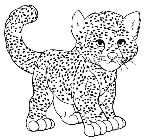 Cheetah Bears Coloring Pages