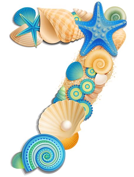 The Number Seven Made Out Of Seashells And Starfish On A White Background