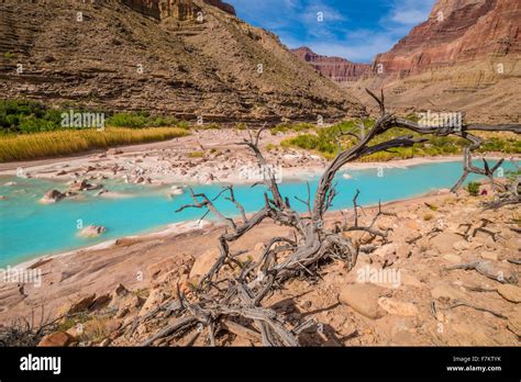 Blue Waters Of Little Colorado River In Grand Canyon National Park