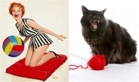 Top 10 Sexy Cats That Look Like 60s Pin Up Girls