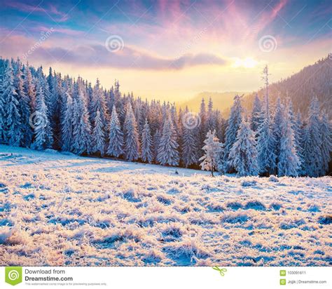 Beautiful Winter Sunrise In The Mountains Stock Image Image Of Frost