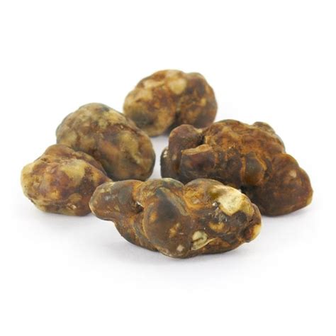 Het combineert de beste sclerotia eigenschappen en vormt een smakelijke en zeer sterke truffel. Psilocybe Atlantis