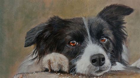 Border Collie Acrylic Painting Animaux