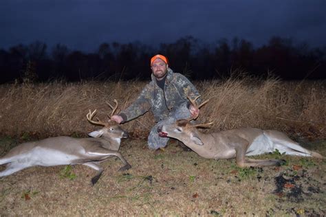The Wild Life The Vagaries Of Luck While Deer Hunting In North Carolina