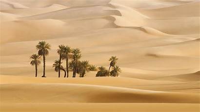 Desert Dune Trees Palms Dunes Wallpapers Palm