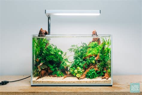 Planted Betta Fish Nano Tank Aquarium Glass Aqua
