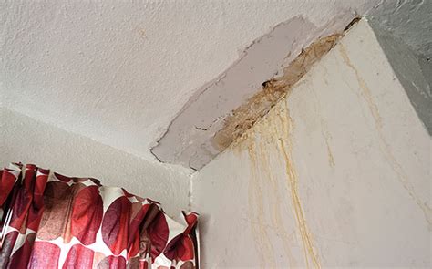 Check spelling or type a new query. What kind of damp is affecting my home? - Which?