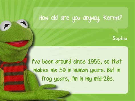 Kermit Instagram Quotes Quotesgram