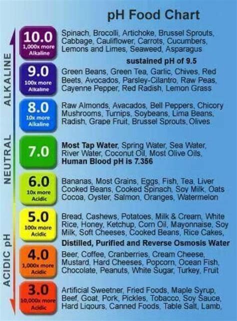 Ph Chart Of Foods