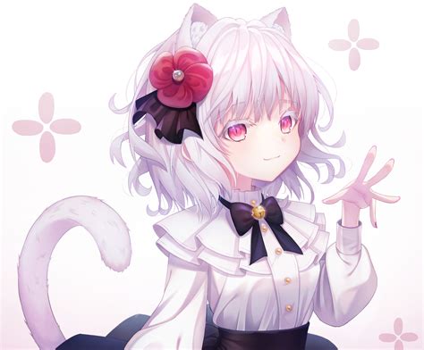 Download 3200x2650 Anime Girl Loli White Hair Animal Ears Tail