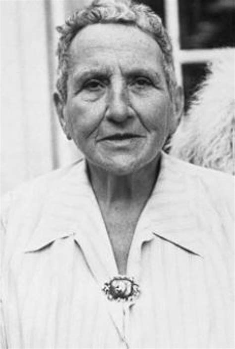Gertrude Stein Imdb