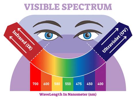 The Visible Spectrum Overview With Colors Listed In Order Of Increasing Wavelength Color Meanings