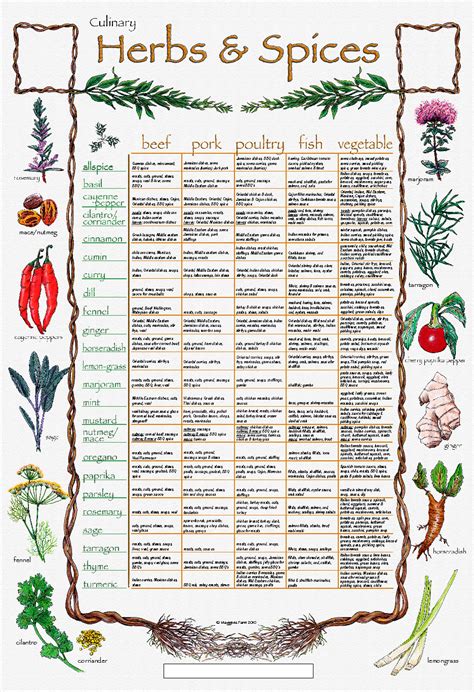 Chart Of Herbs And Spices And Their Uses