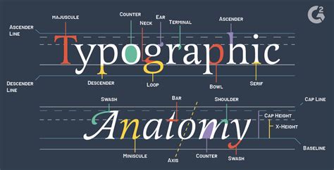 What Is Typography Terms Resources And Trends In 2020