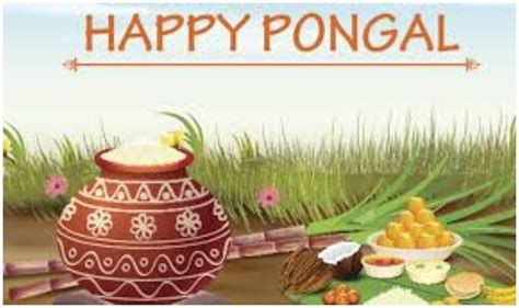 Pongal 2021 Time History Significance And How To Celebrate