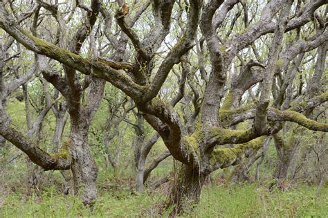 Sie sind mit den delfinen verwandt, unterscheiden sich aber in einer reihe anatomischer merkmale. Familienwochen Sylt für Zuhause | Presseportal
