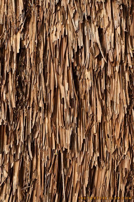Thatched Roof Texture Tactile Texture 3d Texture Color Textures