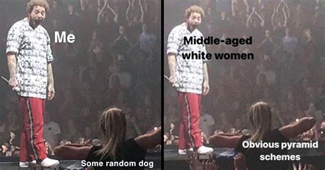 Post Malone Memes