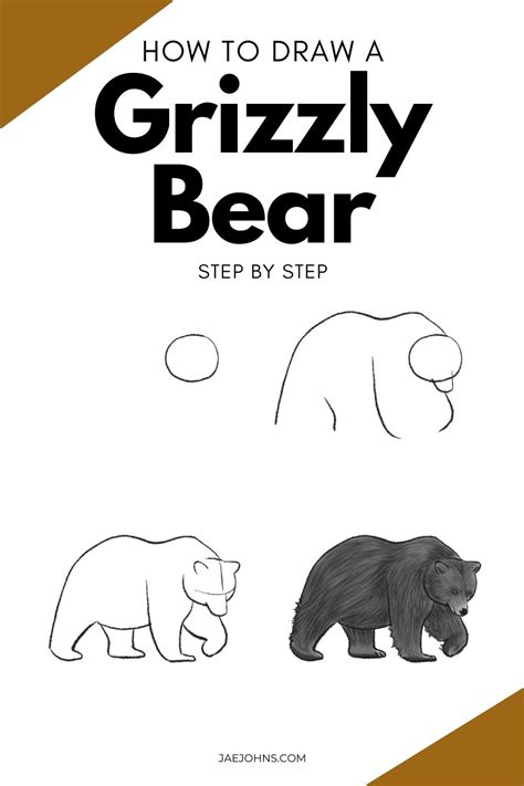 How To Draw A Grizzly Bear Easy Step By Step Jae Johns