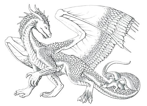 Dragon Coloring Pages For Adults Best Coloring Pages For Kids