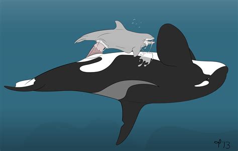 Rule Cetacean Cum Cum In Pussy Cum Inside Dolphin Female Feral
