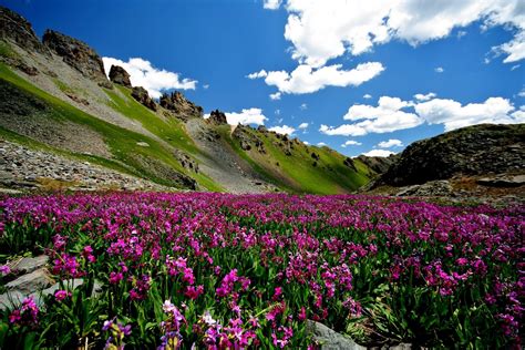 Wallpaper Background Images Download 4k Fresh Air ...