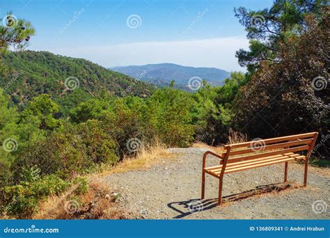 Picture Of Wooden Bench On The Top Of The Mountain With Beautiful