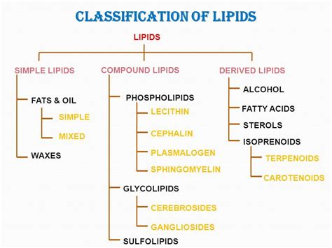Lipids Classification Biochemistry Notes Clinical Chemistry
