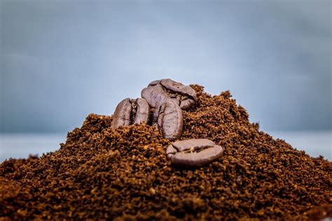 Recycling coffee grounds is a great way to reduce the carbon footprint and waste disposal costs of your business simultaneously. Waste Coffee Grounds Make Biodiesel Fuel | Vournas Coffee ...