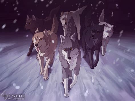 Anime White Wolf Wallpaper Anime Wallpaper Hd