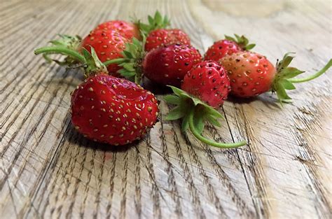 Strawberry Free Stock Photo - Public Domain Pictures
