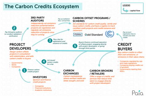 Carbon Offsets And Credits Explained Paia Consulting
