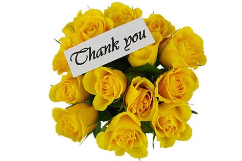 Thank You Gratitude Rose Yellow Stock Photos Pictures And Royalty Free