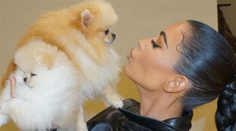 Kim Kardashian Shares Adorable Photos With Pet Dogs Sushi And Saké