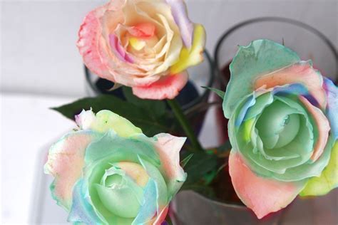 How To Dye Dried Roses 13 Steps With Pictures Wikihow