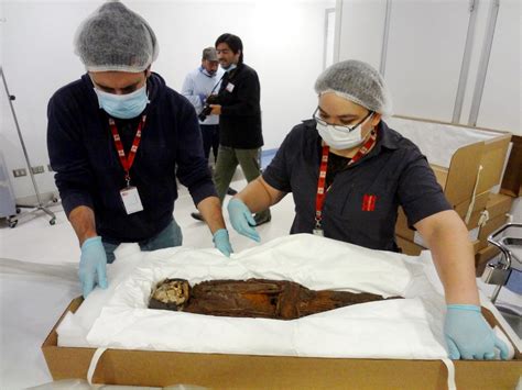 The chinchorro mummies are mummified remains of individuals from the south american chinchorro culture, found in what is now northern chile. Las momias chinchorro revelan sus secretos - Museo ...