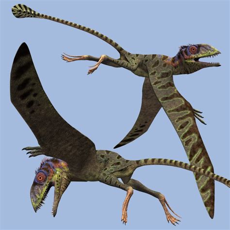 This selection of dinosaurs has been arranged by the geologic time period in which each animal apatosaurus, which means deceptive lizard, is now the valid scientific name for the same. PeteinosaurusDR 3D Models Dinoraul