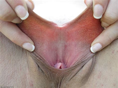 Large Nips Lips Clits Tumblr Com Tumbex