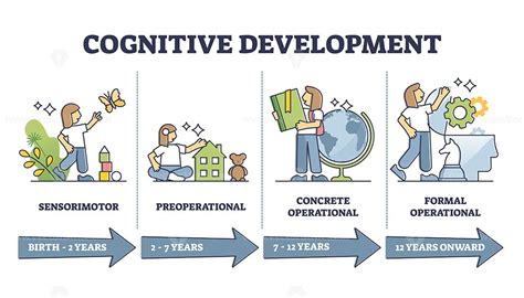 Cognitive Development Progress Stages By Age Vector Illustration Diagram Cognitive