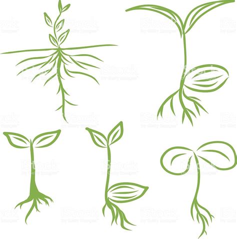 Hand Draw Sprouts Plants Seeding How To Draw Hands Seed Tattoo Seed