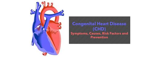 Congenital Heart Disease Chd Symptoms Causes And Prevention